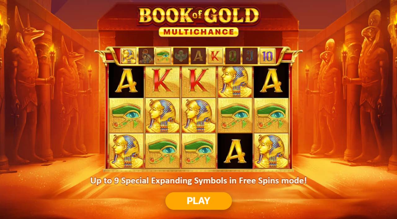 Book Of Gold: Multichance (Playson) Image 1